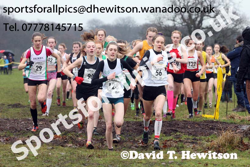 Womens under-17a  Northern Cross Country, Knowsley Safari Park. Photo: David T. Hewitson/Sports for All Pics